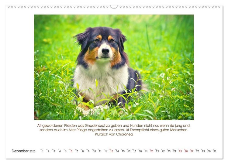 Produktbild: Der Tierkalender mit Zitaten, Weisheiten und Spr&uuml;chen (Wandkalender 2026 DIN A2 quer), CALVENDO Monatskalender