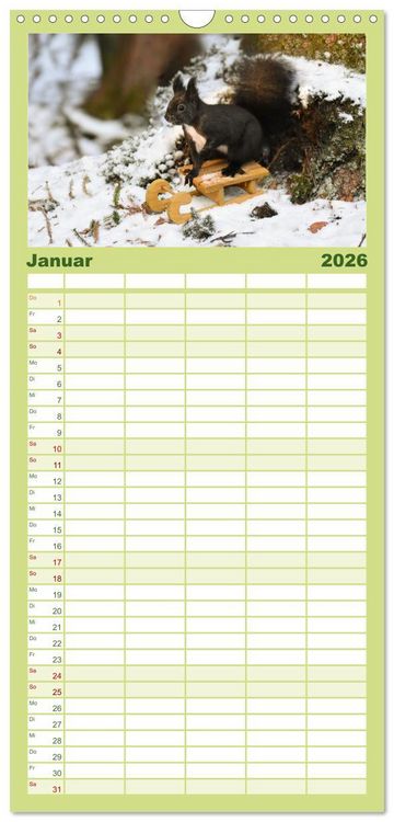 Produktbild: Familienplaner 2026 - Geheimes Waldleben mit 5 Spalten (Wandkalender, 21 x 45 cm) CALVENDO