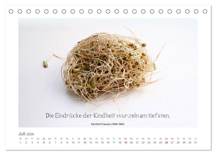 Produktbild: FunnyFood (Tischkalender 2026 DIN A5 quer), CALVENDO Monatskalender