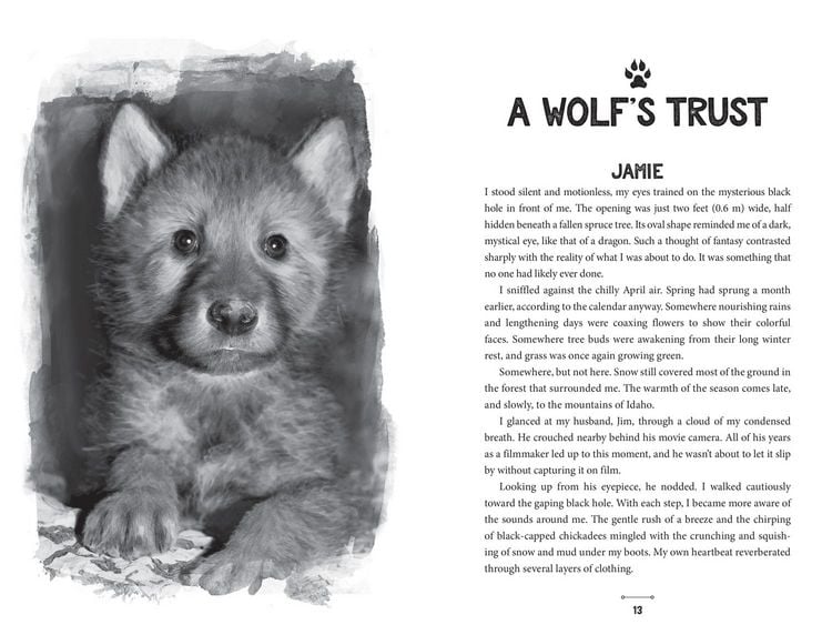 Produktbild: Running with Wolves