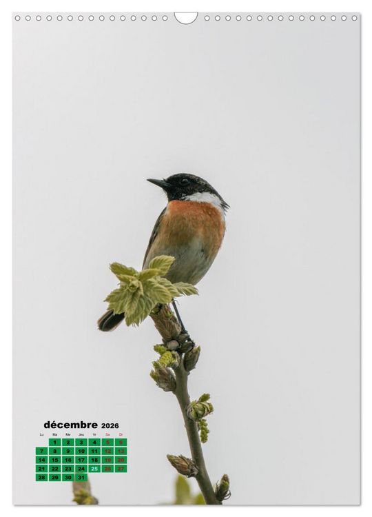 Produktbild: Lesbos l'&icirc;le aux oiseaux (Calendrier mural 2026 DIN A3 horizontal), CALVENDO calendrier mensuel
