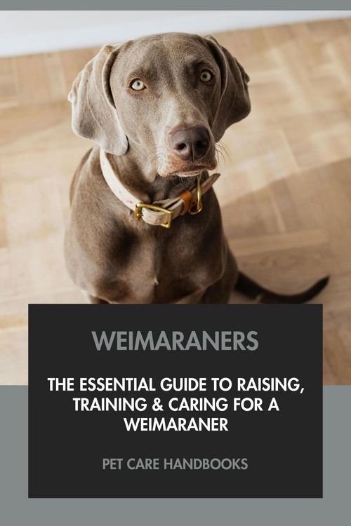 Produktbild: Weimaraners: The Essential Guide to Raising, Training & Caring for A Weimaraner