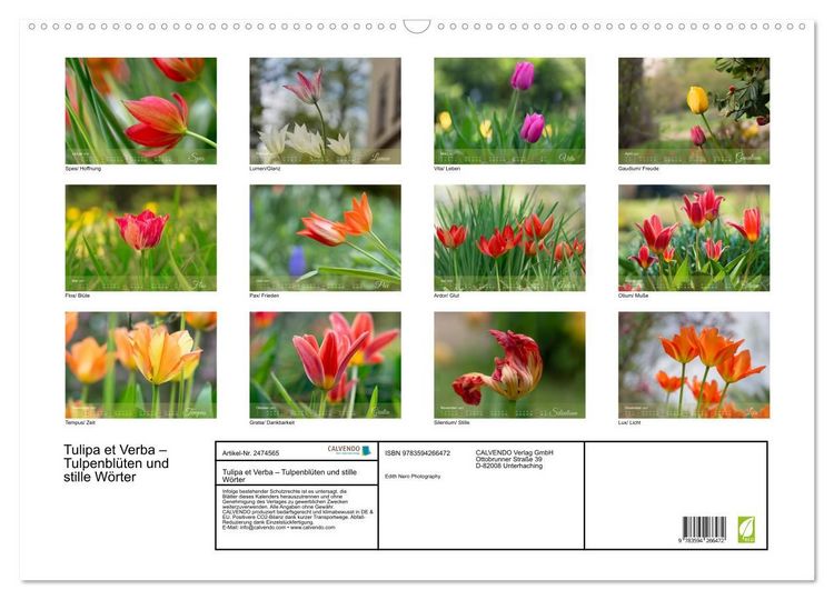 Produktbild: Tulipa et Verba &ndash; Tulpenbl&uuml;ten und stille W&ouml;rter (Wandkalender 2027 DIN A2 quer), CALVENDO Monatskalender