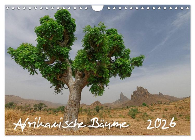 Produktbild: Afrikanische B&auml;ume (Wandkalender 2026 DIN A4 quer), CALVENDO Monatskalender