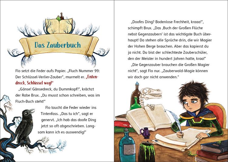 Produktbild: Der Zaubersch&uuml;ler (Band 1) - Fluch des Hexenmeisters