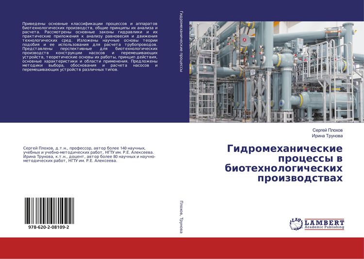 Produktbild: Gidromehanicheskie processy w biotehnologicheskih proizwodstwah