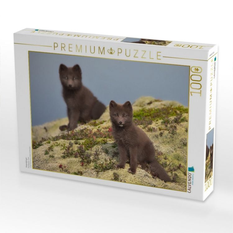Produktbild: CALVENDO Puzzle Doppelg&auml;nger | 1000 Teile Lege-Gr&ouml;&szlig;e 64x48cm Foto-Puzzle f&uuml;r gl&uuml;ckliche Stunden