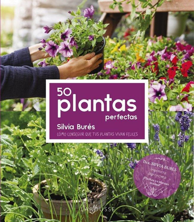 Produktbild: 50 Plantas perfectas