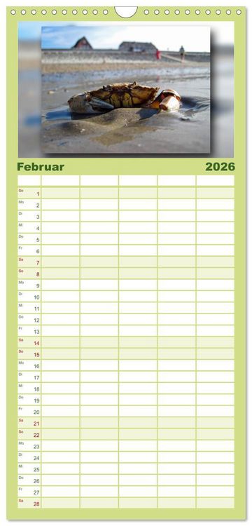 Produktbild: Familienplaner 2026 - Baltrum - Ein Tag am Strand mit 5 Spalten (Wandkalender, 21 x 45 cm) CALVENDO