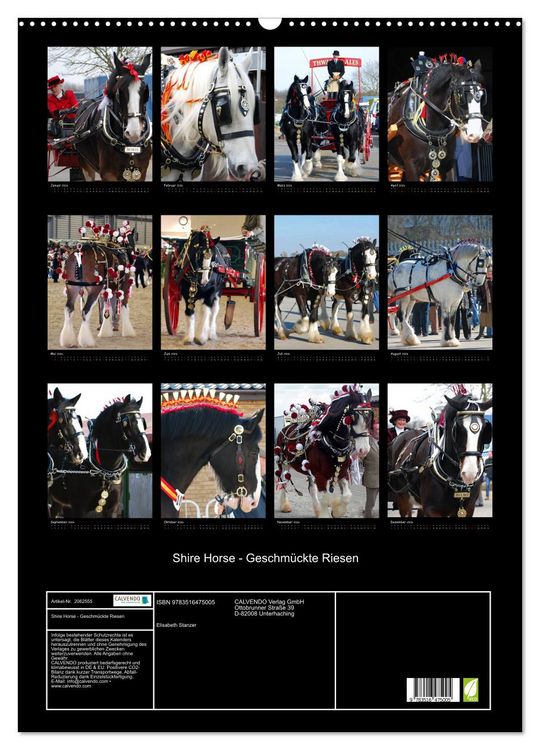 Produktbild: Shire Horse - Geschm&uuml;ckte Riesen (Wandkalender 2026 DIN A2 hoch), CALVENDO Monatskalender