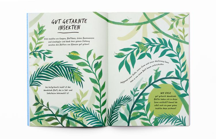 Produktbild: Zeichne wie die Natur: Farben