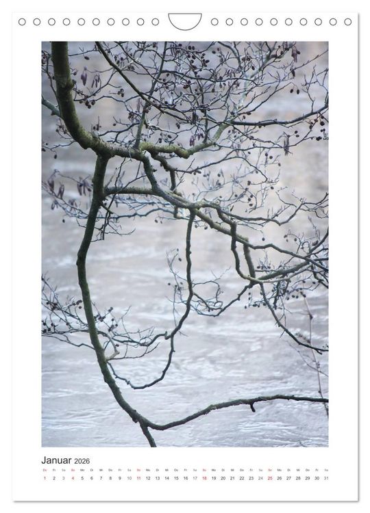 Produktbild: Impressionen aus unserem Wald (Wandkalender 2026 DIN A4 hoch), CALVENDO Monatskalender