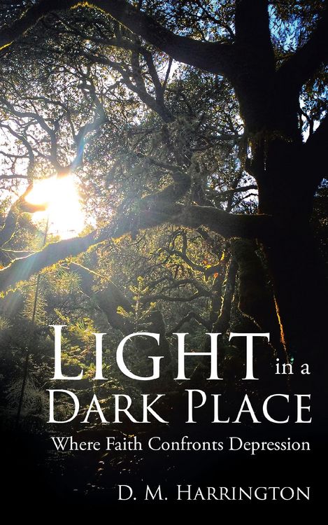 Produktbild: Light in a Dark Place