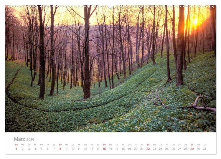 Produktbild: SCHW&Auml;BISCHE ALB W.Dieterich (Wandkalender 2026 DIN A2 quer), CALVENDO Monatskalender