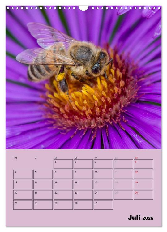 Produktbild: Bienenplaner (Wandkalender 2026 DIN A3 hoch), CALVENDO Monatskalender