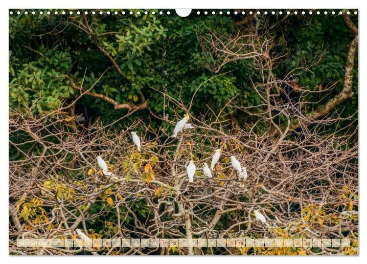 Produktbild: Ein Tag in Hongkong - eine etwas andere Sicht (Wandkalender 2027 DIN A3 quer), CALVENDO Monatskalender