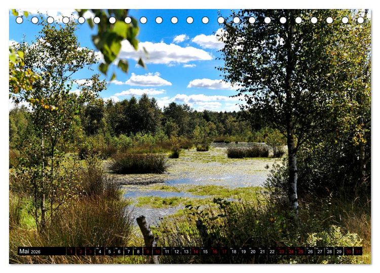Produktbild: L&uuml;neburger Heide (Tischkalender 2026 DIN A5 quer), CALVENDO Monatskalender