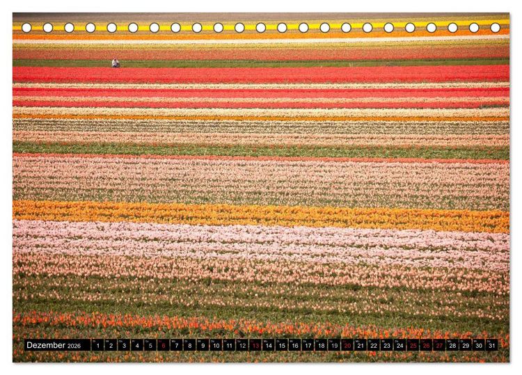 Produktbild: Tulpen (Tischkalender 2026 DIN A5 quer), CALVENDO Monatskalender