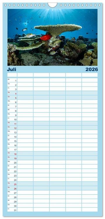 Produktbild: Familienplaner 2026 - Faszinierende Meereswelt der Malediven mit 5 Spalten (Wandkalender, 21 x 45 cm) CALVENDO
