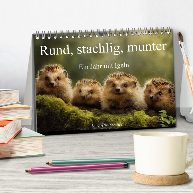 Produktbild: Rund, stachlig, munter - Ein Jahr mit Igeln (Tischkalender 2026 DIN A5 quer), CALVENDO Monatskalender