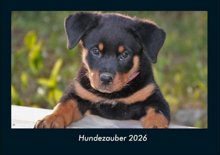 Produktbild: Hundezauber 2026 Fotokalender DIN A4