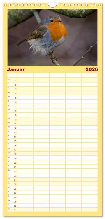Produktbild: Familienplaner 2026 - Rotkehlchen - Fotografiert von Ostfriesenfotografie mit 5 Spalten (Wandkalender, 21 x 45 cm) CALVENDO