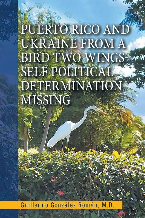 Produktbild: Puerto Rico and Ukraine from a Bird Two Wings- Self Political Determination Missing