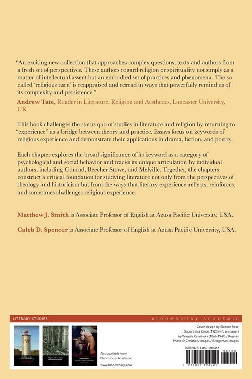 Produktbild: Literature and Religious Experience