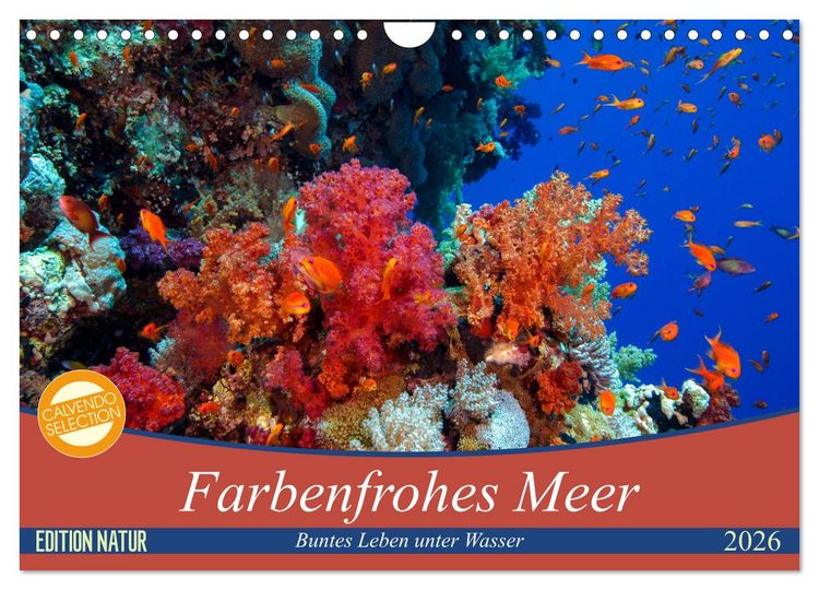 Produktbild: Farbenfrohes Meer (Wandkalender 2026 DIN A4 quer), CALVENDO Monatskalender