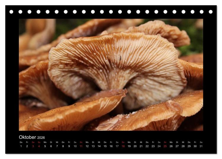 Produktbild: Impressionen vom Solinger Klingenpfad (Tischkalender 2026 DIN A5 quer), CALVENDO Monatskalender
