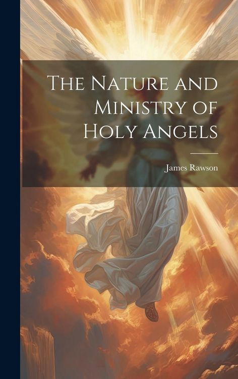 Produktbild: The Nature and Ministry of Holy Angels