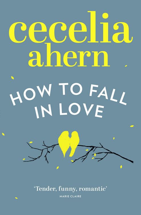 Produktbild: HOW TO FALL IN LOVE PB