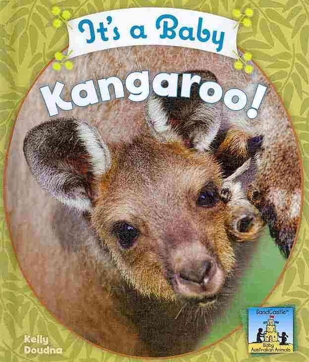 Produktbild: Baby Australian Animals Set
