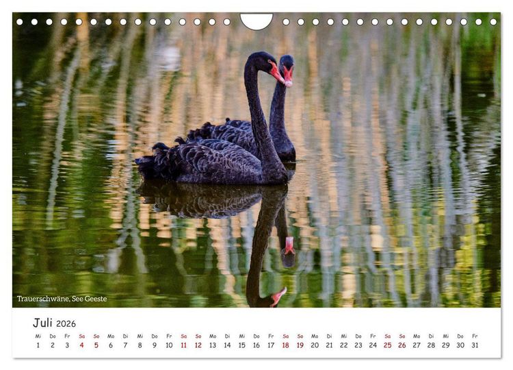 Produktbild: Emsland Impressionen (Wandkalender 2026 DIN A4 quer), CALVENDO Monatskalender