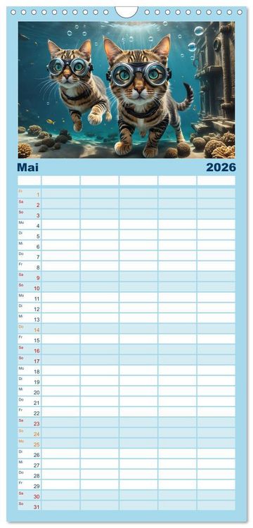 Produktbild: Familienplaner 2026 - Katzen unter Wasser mit 5 Spalten (Wandkalender, 21 x 45 cm) CALVENDO