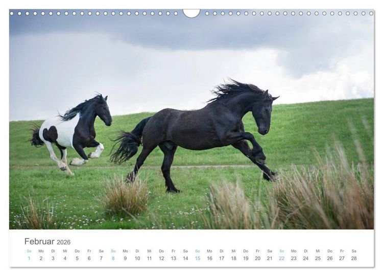 Produktbild: Juist - mein T&ouml;werland (Wandkalender 2026 DIN A3 quer), CALVENDO Monatskalender