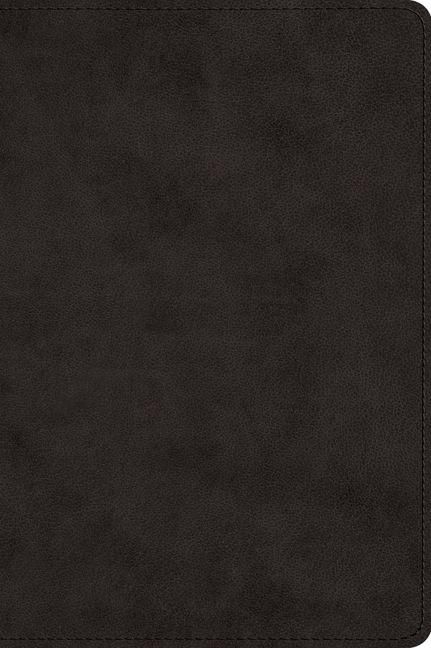 Produktbild: ESV Large Print Bible