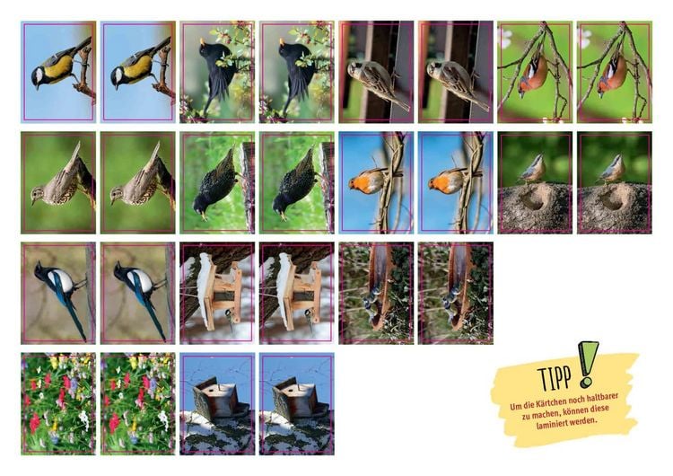 Produktbild: Amsel, Drossel, Fink und Star. Die V&ouml;gel in unserem Garten. Kamishibai Bildkarten und Memo-Spiel