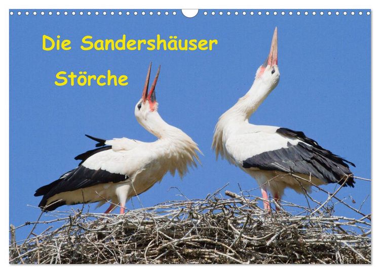 Produktbild: Die Sandersh&auml;user St&ouml;rche (Wandkalender 2026 DIN A3 quer), CALVENDO Monatskalender