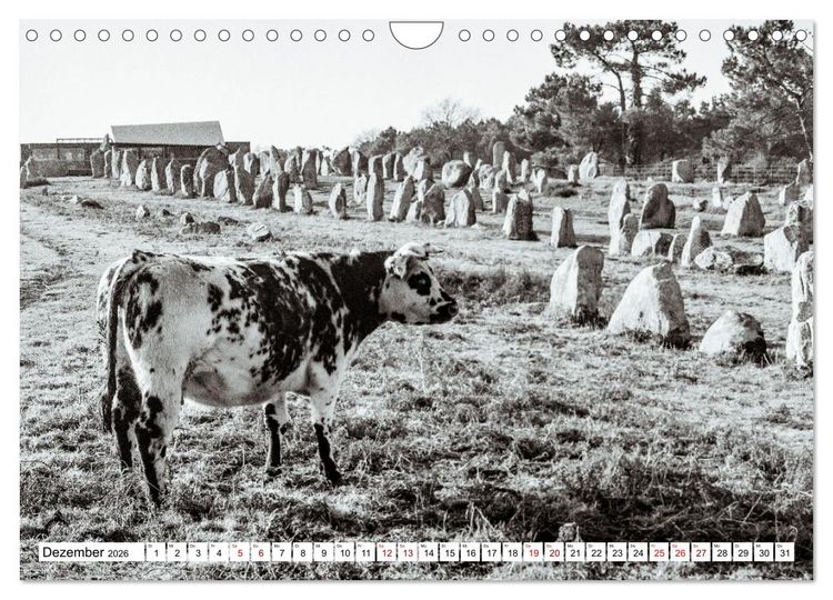 Produktbild: Bretagne Mythen und Steine (Wandkalender 2026 DIN A4 quer), CALVENDO Monatskalender