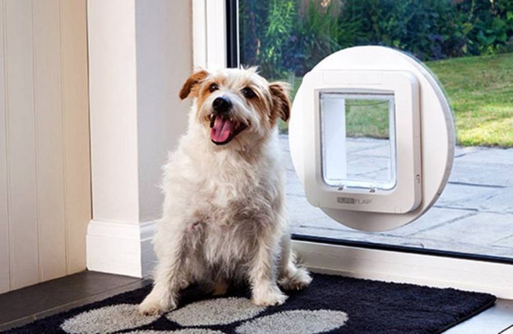 Produktbild: SureFlap Mikrochip Pet door Haustierklappe Braun 1St.