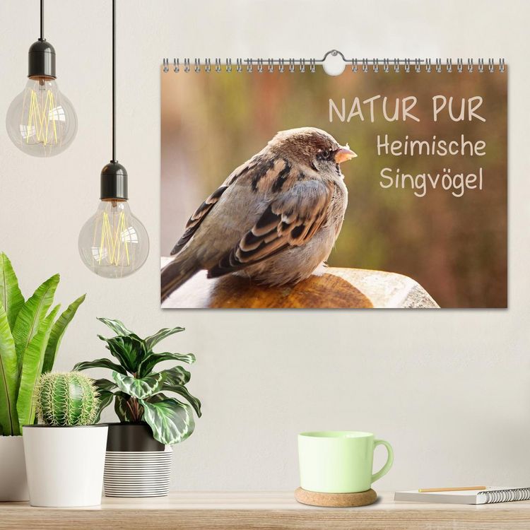 Produktbild: NATUR PUR Heimische Singv&ouml;gel (Wandkalender 2026 DIN A4 quer), CALVENDO Monatskalender