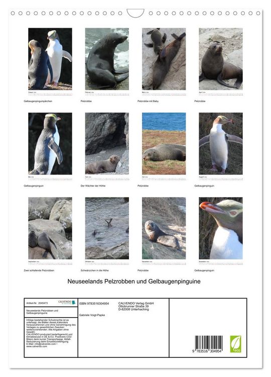 Produktbild: Neuseelands Pelzrobben und Gelbaugenpinguine (Wandkalender 2026 DIN A3 hoch), CALVENDO Monatskalender