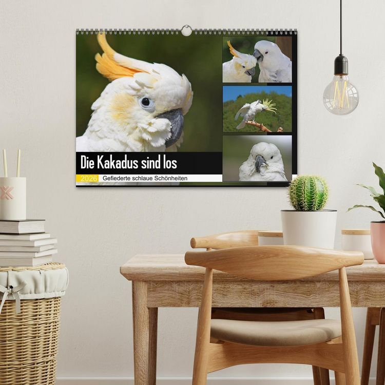 Produktbild: Die Kakadus sind los (Wandkalender 2026 DIN A3 quer), CALVENDO Monatskalender