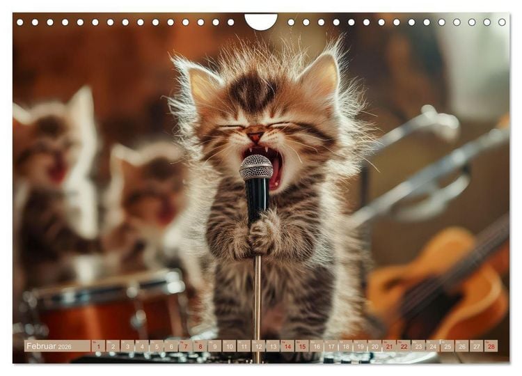 Produktbild: Miau-sikalische Momente (Wandkalender 2026 DIN A4 quer), CALVENDO Monatskalender