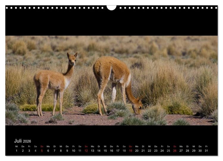 Produktbild: Peru & Bolivien - Land der Inka (Wandkalender 2026 DIN A3 quer), CALVENDO Monatskalender