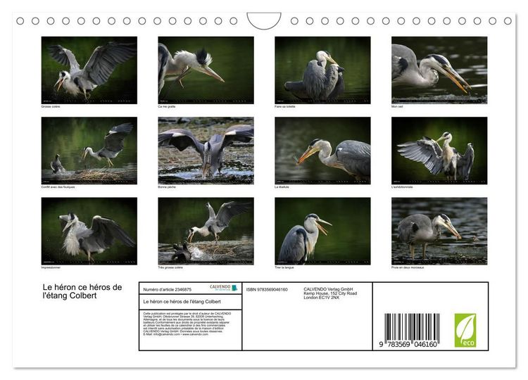 Produktbild: Le h&eacute;ron ce h&eacute;ros de l'&eacute;tang Colbert (Calendrier mural 2027 DIN A4 vertical), CALVENDO calendrier mensuel