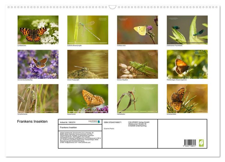 Produktbild: Frankens Insekten (Wandkalender 2026 DIN A2 quer), CALVENDO Monatskalender