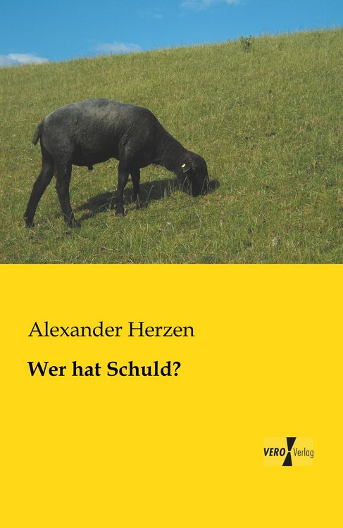 Produktbild: Wer hat Schuld?