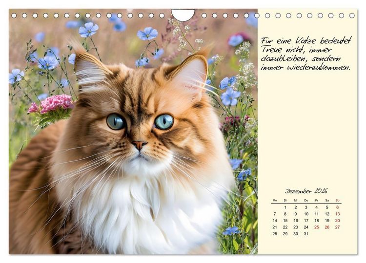 Produktbild: Katzen - Charakter und Sch&ouml;nheit (Wandkalender 2026 DIN A4 quer), CALVENDO Monatskalender
